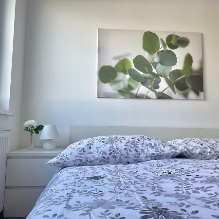 80M2 Apartment With Balcony & Free Netflix 维也纳 外观 照片
